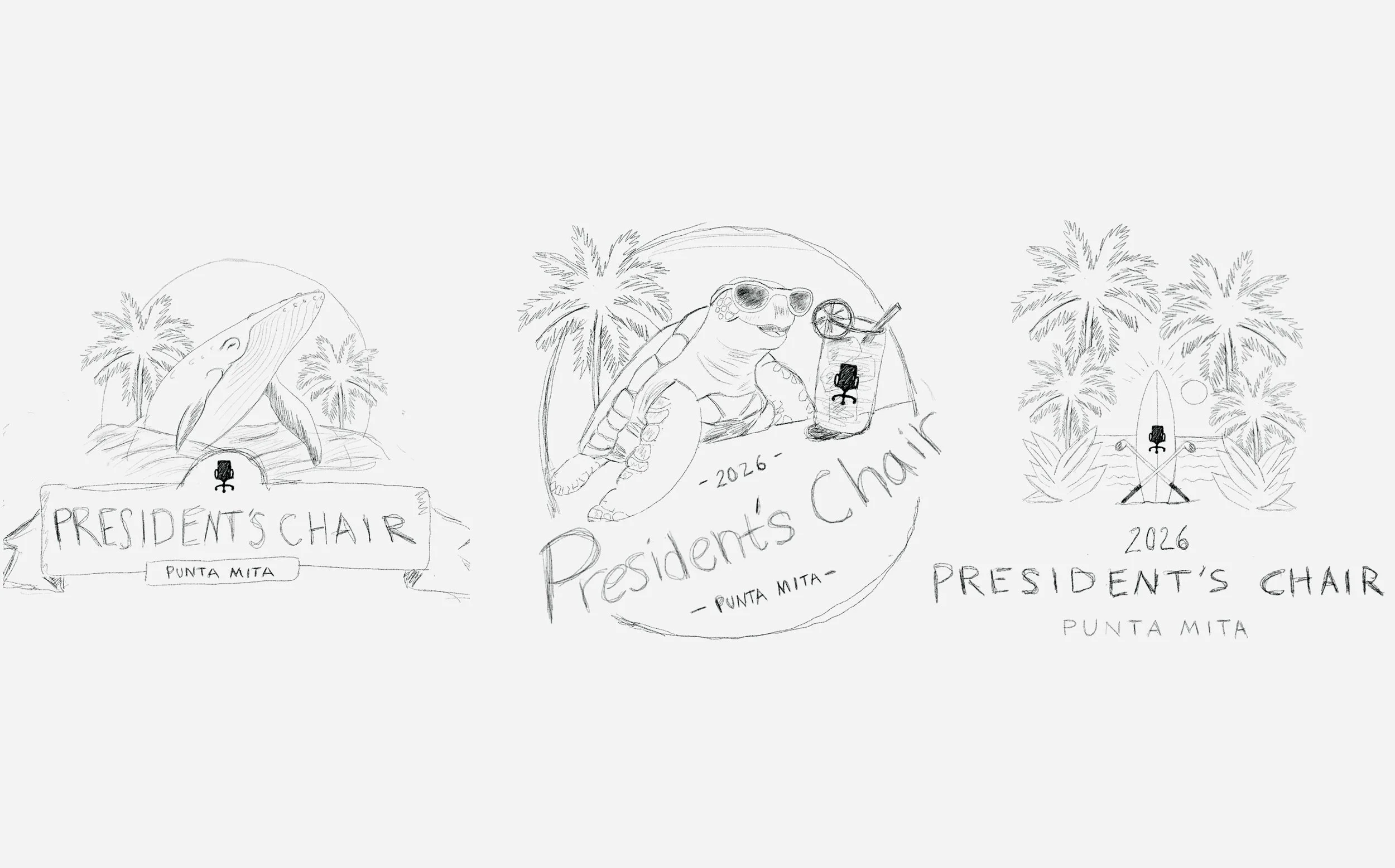 Punta Mita logo sketches